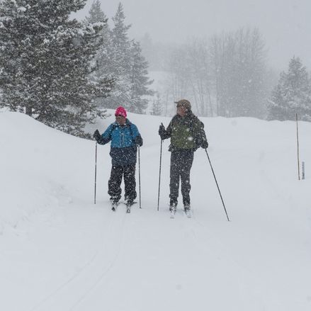 Nordic Ski