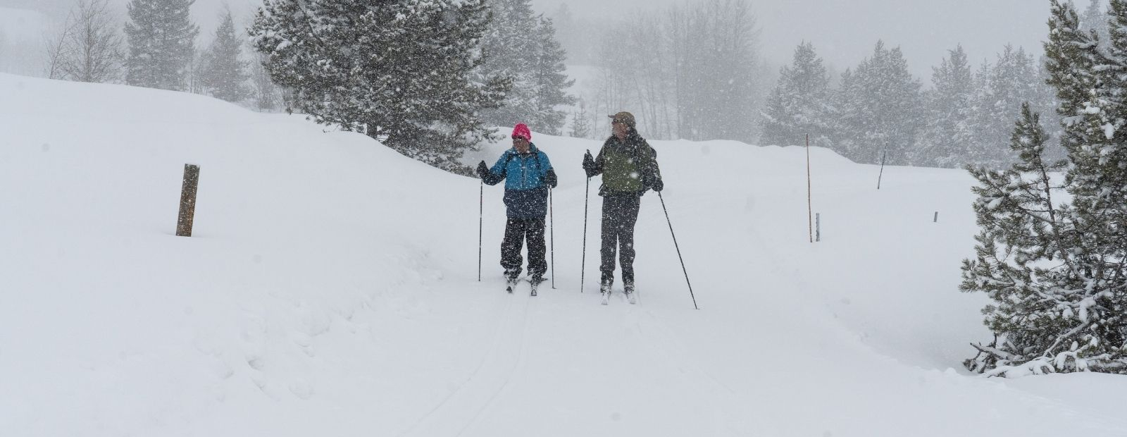 Nordic skiing